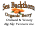 Sea buckthorn logo