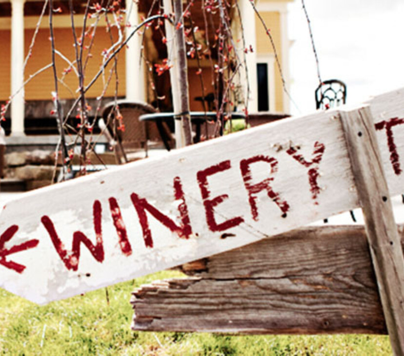 New Brunswick's Award Winning Wines